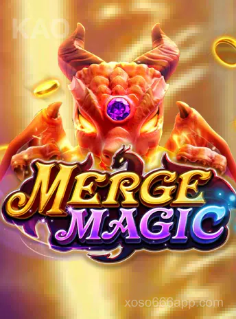 fachai_merge_magic_portrait